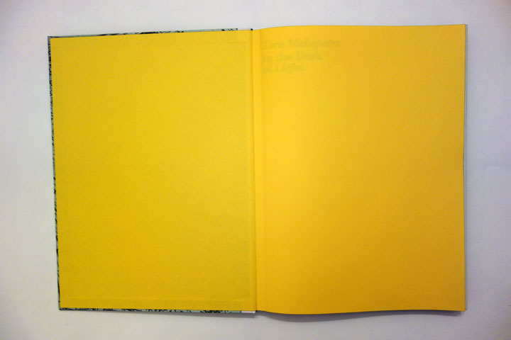Tara_Mahapatra_Catalog_In_the_the_Dark_of_light